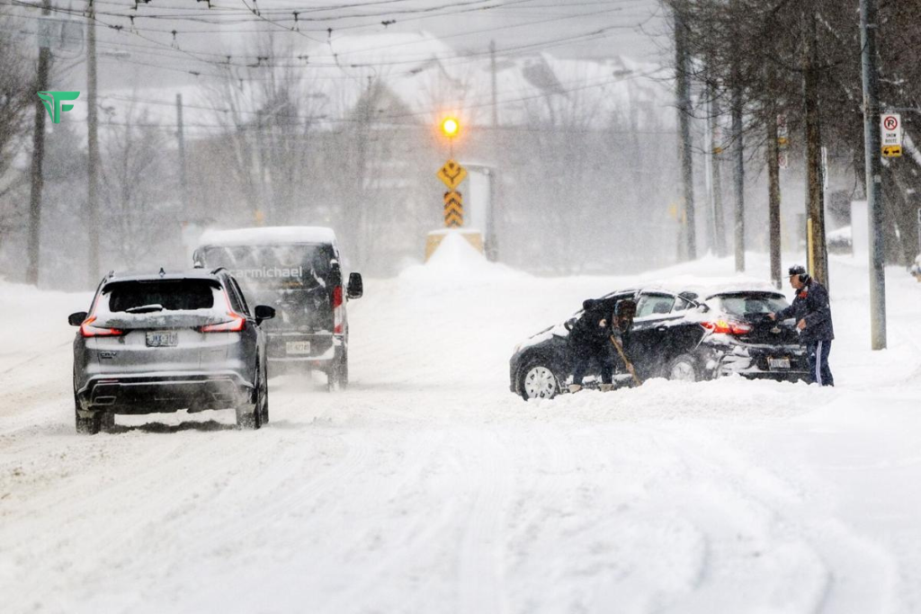 Snow Storm Weather Forecast